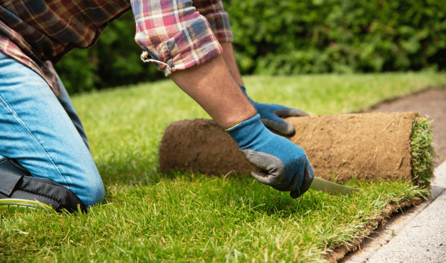 SOD INSTALLATION